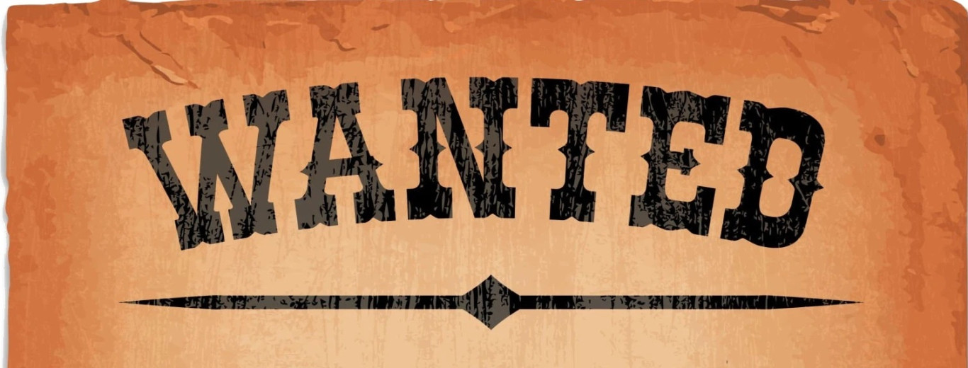 wanted2 wanted2
